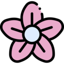 wellness,relax,bath,treatment,flower,spa,sauna