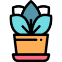 nature,pot,plant,botanical,gardening,garden,flower,blossom,plant pot,botanic