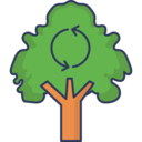 ecology and environment,ecology,nature,tree,eco,environment