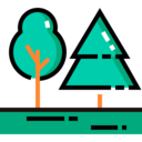 nature,trees,botanical,tree,garden,woods,forest ok 
