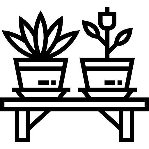 Plants
