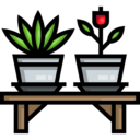ecology,nature,furniture and household,plant,botanical,gardening,garden,plants,yard ok 