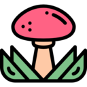 food,food and restaurant,nature,mushroom,Muscaria,Fungi ok 