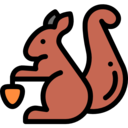 animals,wildlife,animal,forest,squirrel,autumn