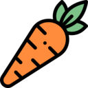 food,carrot,vegetable,vegan,healthy food,food and restaurant,organic,diet,vegetarian