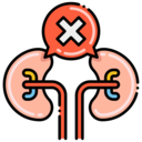 healthcare and medical,organ,illness,anatomy,kidney,urology,failure,urologist