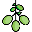 vegetable,vegan,healthy food,food and restaurant,organic,oil,nature,olive