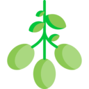 vegetable,vegan,healthy food,food and restaurant,organic,oil,nature,olive