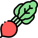 food,vegetable,vegan,healthy food,food and restaurant,organic,diet,vegetarian,radish