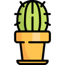 dry,nature,plant,botanical,dessert,cactus