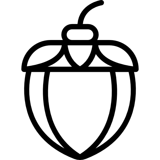 Acorn