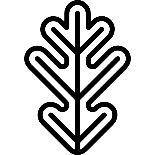 Oak