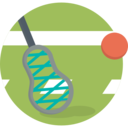 sports,game,racket,team sport,american,lacrosse