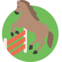 sports,horse,olympic games,equestrian,equine,hippic
