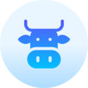 india,cultures,animals,religion,hinduism,indian,cow,sacred cow
