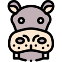 animals,wildlife,zoo,animal,safari,hippopotamus,wild animals,jungle,hippo