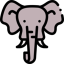 animals,wildlife,zoo,animal,safari,elephant,wild animals,jungle