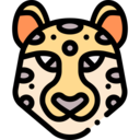 animals,wildlife,zoo,animal,safari,wild animals,jungle,leopard