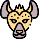 animals,wildlife,zoo,animal,safari,wild animals,jungle,hyena