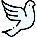 animals,peace,bird,animal,wedding,dove,fly,wings