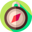 Safari icon 64x64