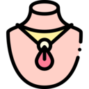 fashion,jewelry,necklace,adorment