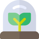 ecology and environment,nature,plant,leaf,ecological,gardening,garden,plants,ecologism ok 