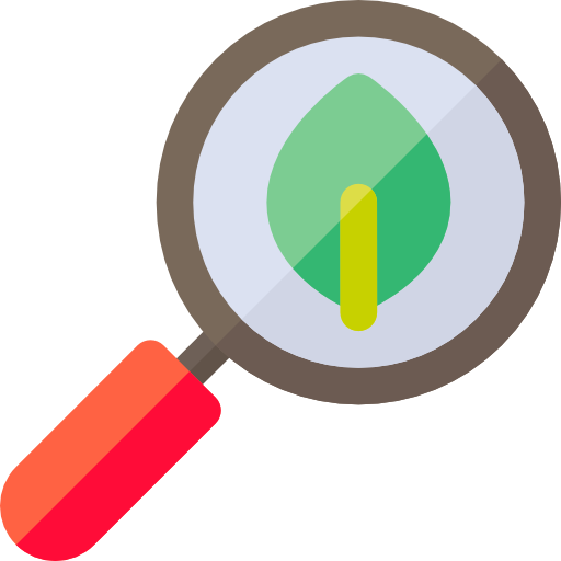 Search