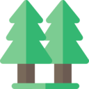 ecology and environment,ecology,nature,trees,botanical,tree,gardening,garden,yard,pines,fruit tree