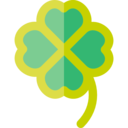 ireland,ecology and environment,nature,plant,botanical,leaf,garden,clover,shamrock,Irish,good luck