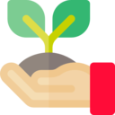 ecology and environment,nature,tree,sprout,gardening,growing seed