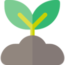 ecology and environment,nature,farming and gardening,tree,sprout,gardening,growing seed