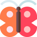 animals,bug,insect,entomology,butterfly