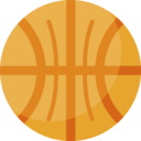 sports and competition,basketball,sport team,equipment,ball,match