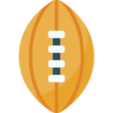 sports and competition,equipment,ball,match,team sport,american football,rugby