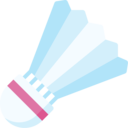 sports and competition,game,equipment,ball,birdie,badminton,shuttlecock
