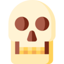 education,science,skull,skeleton,anthropology ok 