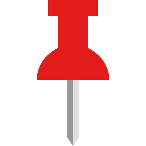 Pin
