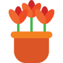 nature,botanical,garden,flower,blossom,tulip,tulips