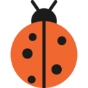 animals,bug,nature,animal kingdom,insect,ladybug,Ladybird