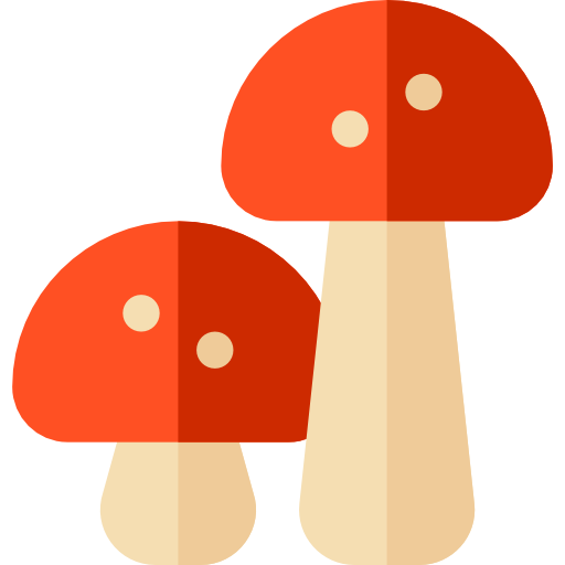 Mushroom