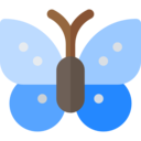 animals,nature,animal kingdom,animal,insect,wings,butterfly,pretty