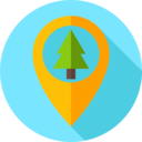 landscape,nature,maps and location,placeholder,location,tree,woods,forest