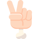 winner,gesture,hand,peace,hands and gestures,hand gesture,win,victory,peace sign