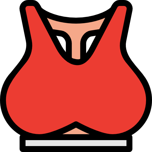 Bra
