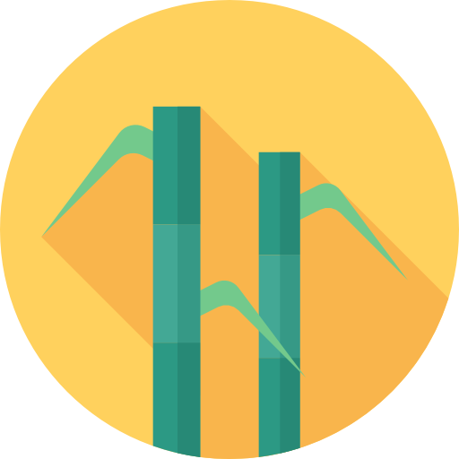 Bamboo