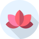 yoga,meditation,sports,nature,oriental,lotus,chakra,hinduism