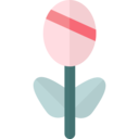 nature,botanical,flower,blossom,petals,rose ok 
