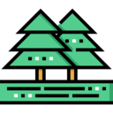 ecology and environment,landscape,nature,trees,woods,forest,pines ok 