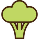 food,vegetable,vegan,healthy food,food and restaurant,vegetarian,foods,supermarket,vegetables,broccoli